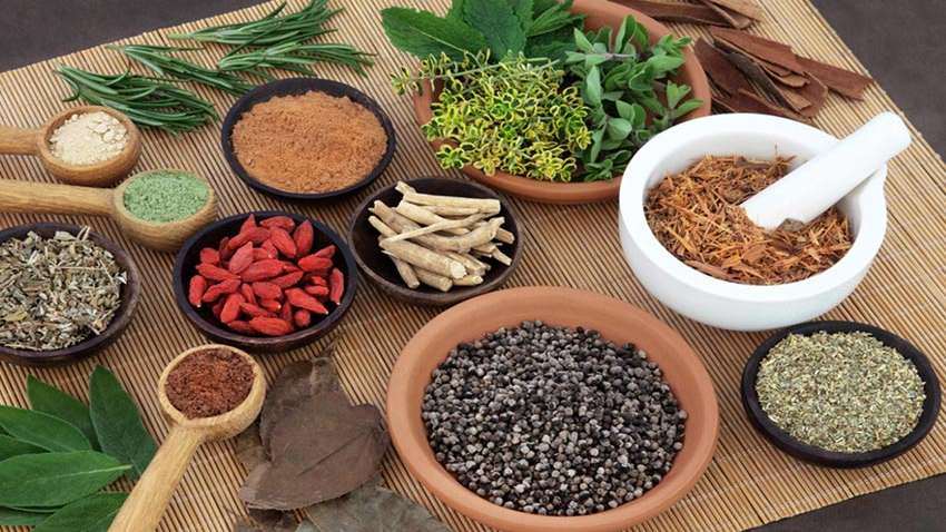 धवलागिरिमा निःशुल्क आयुर्वेद स्वास्थ्य शिविर